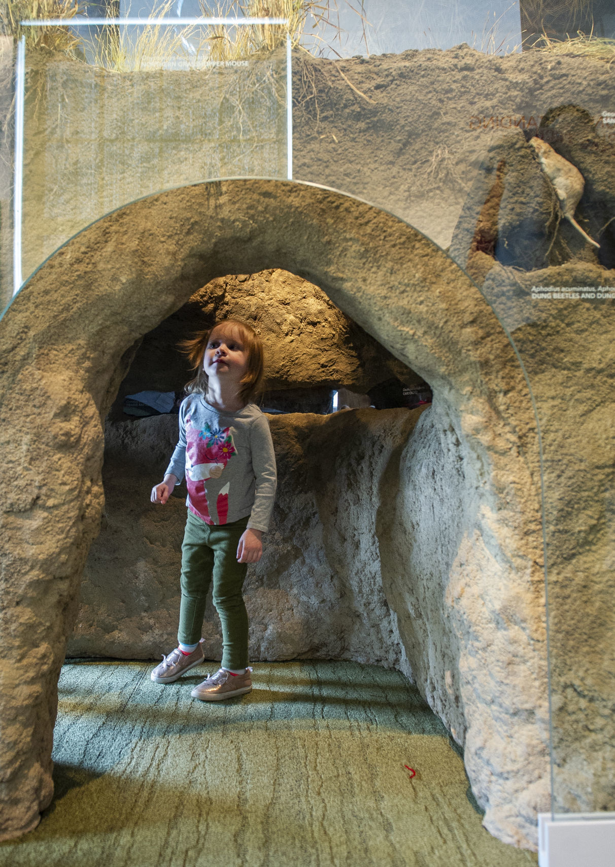 Morrill Hall 2.16
